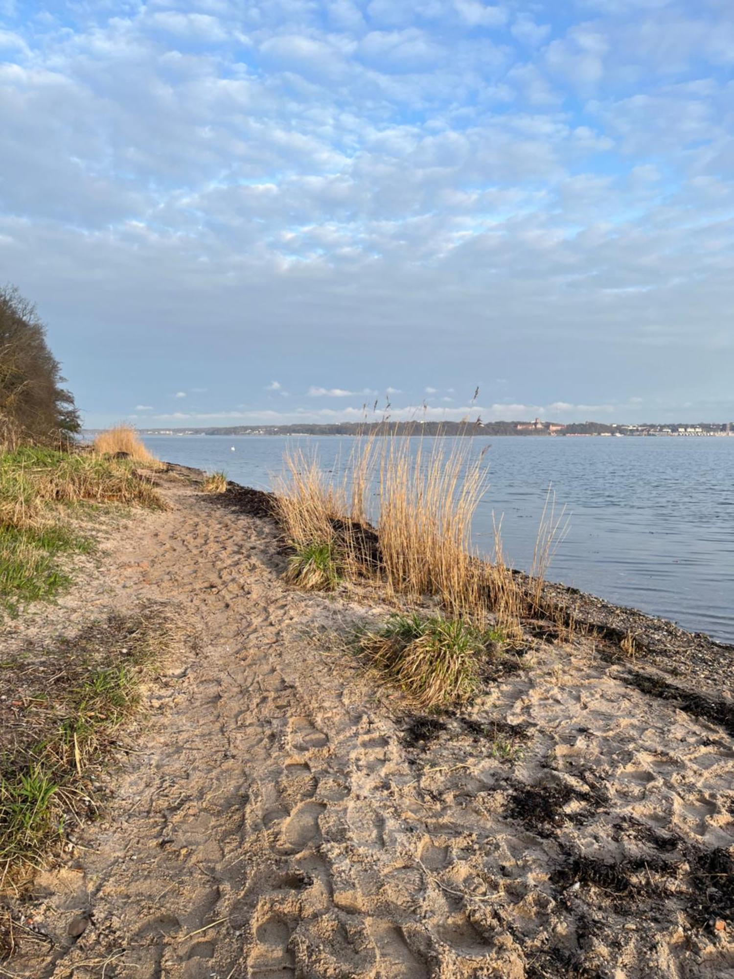 Neu 2024 - Fewo Mit Meerblick & Flair Harrislee Exteriér fotografie